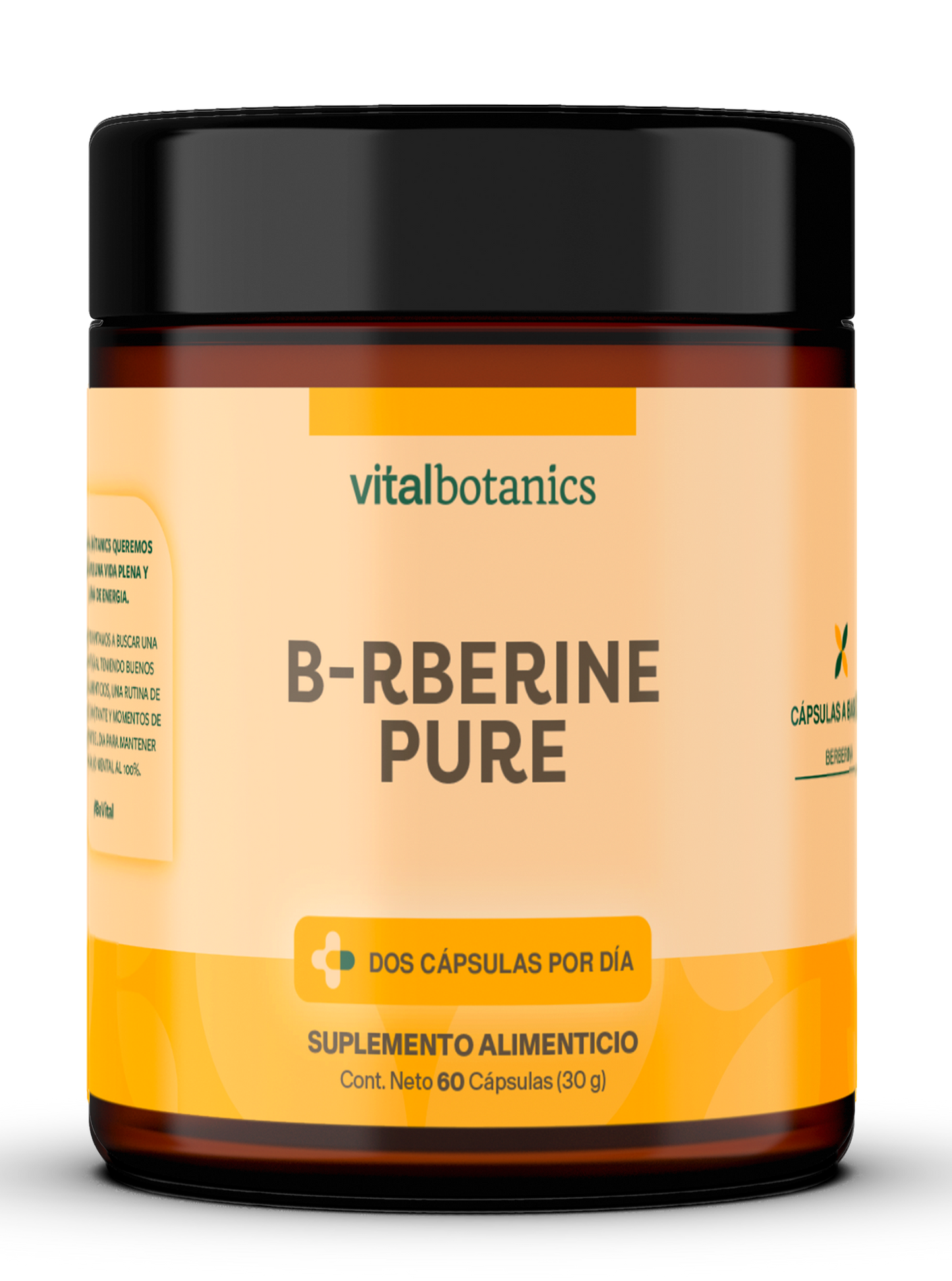 B-RBERINE PURE | BERBERINA PURA