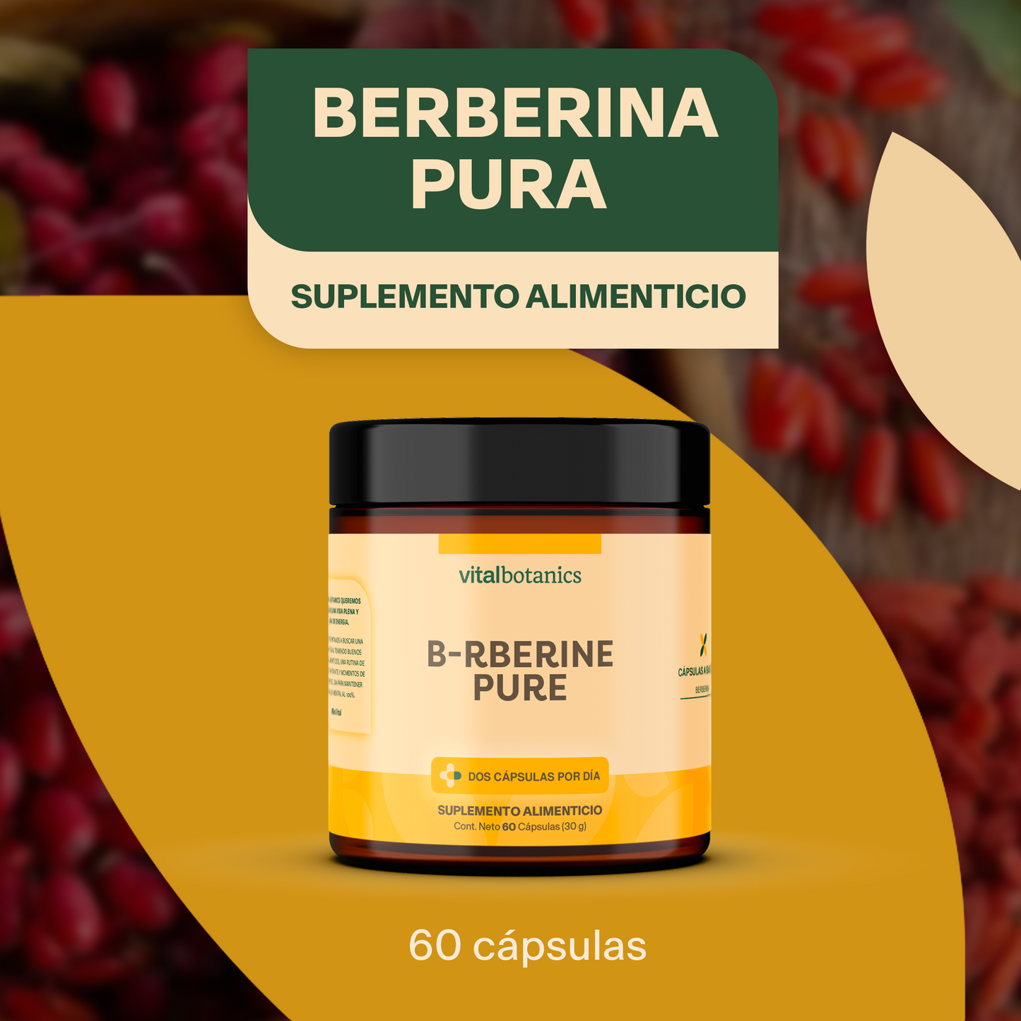 B-RBERINE PURE | BERBERINA PURA