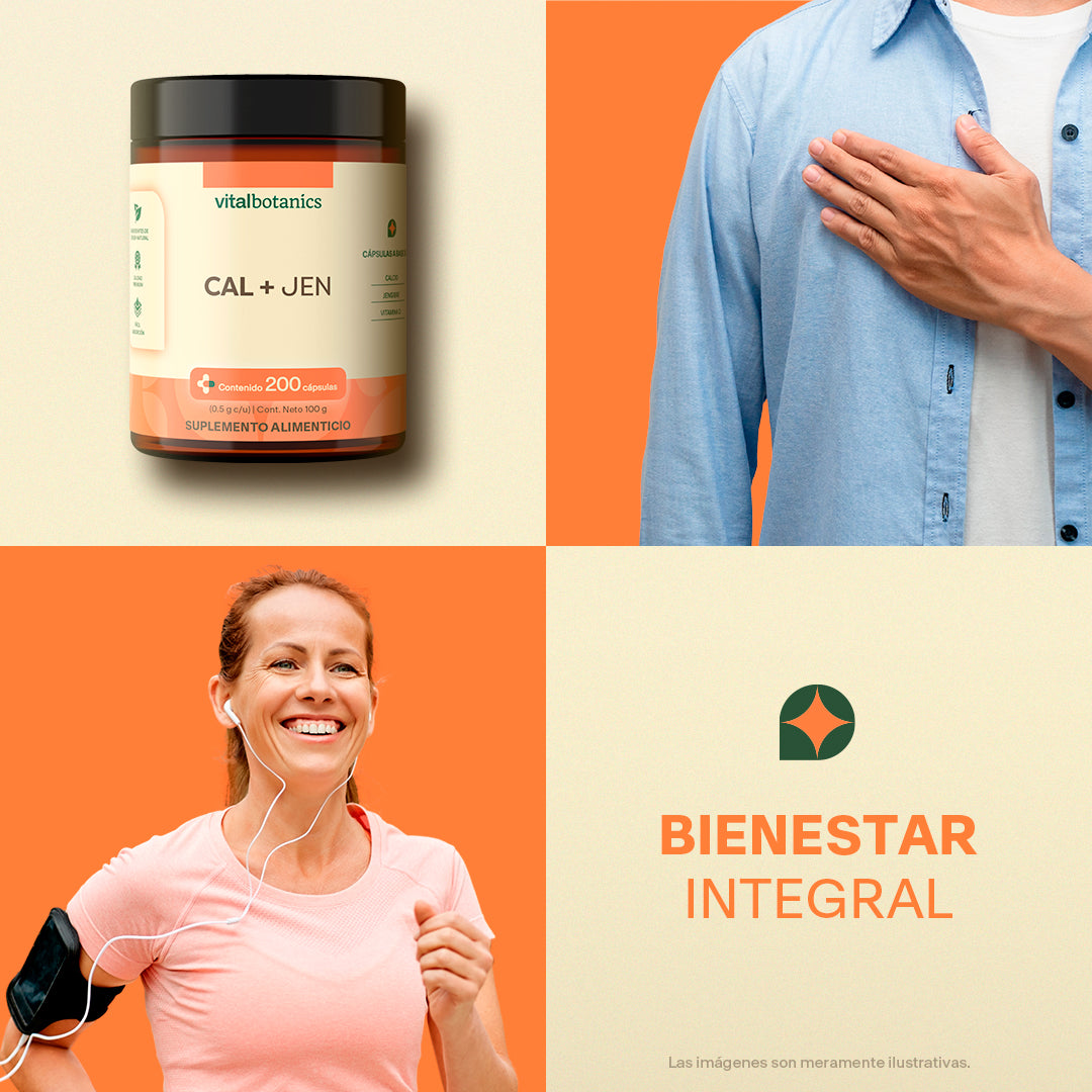 Ingredientes de Calcio + Jengibre – calcio mineral y raíz de jengibre natural