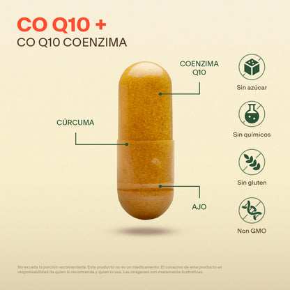 Coenzima Q10 en Cápsulas