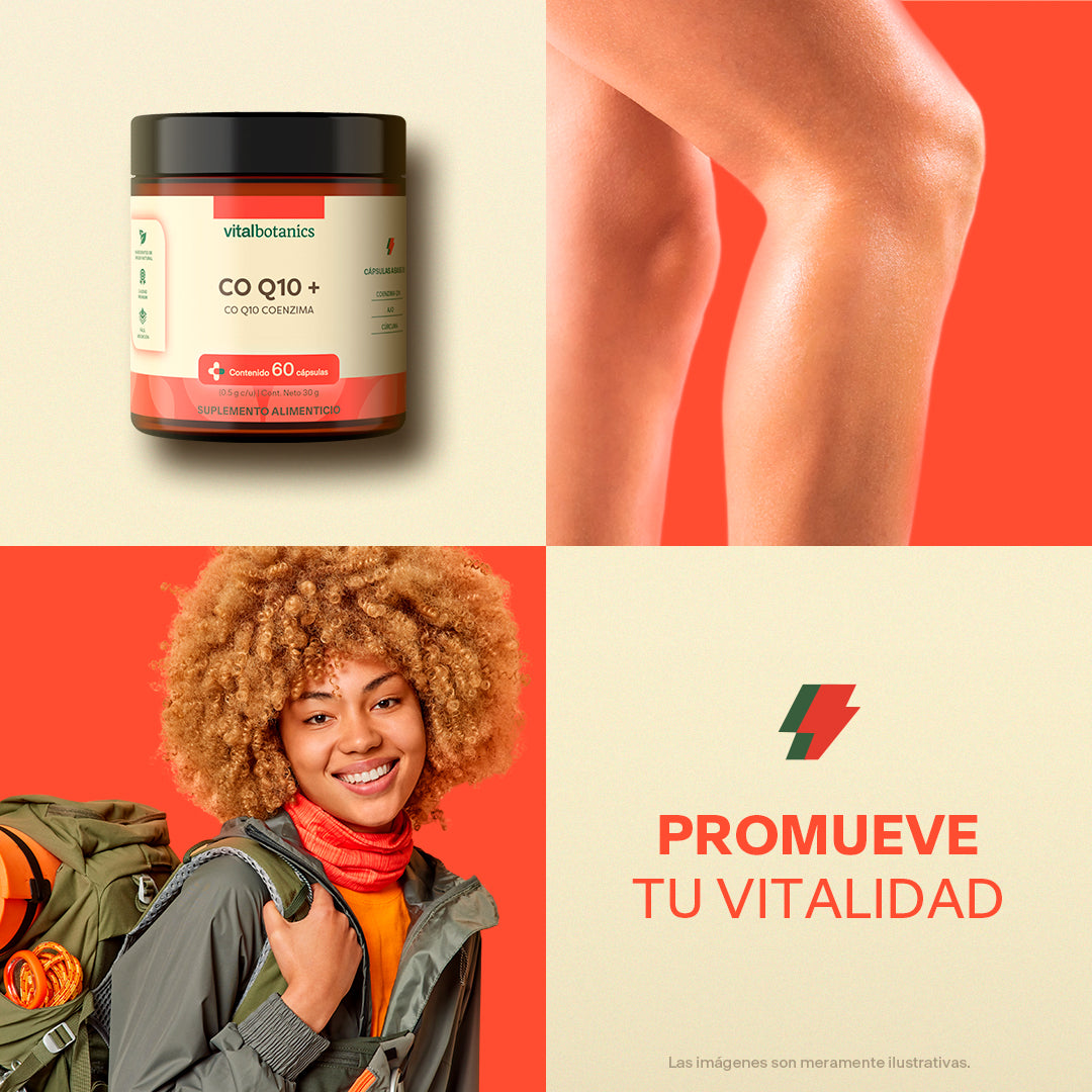 Coenzima Q10 en Cápsulas