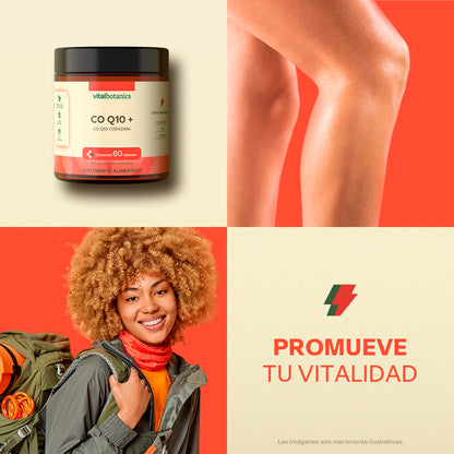 Coenzima Q10 en Cápsulas