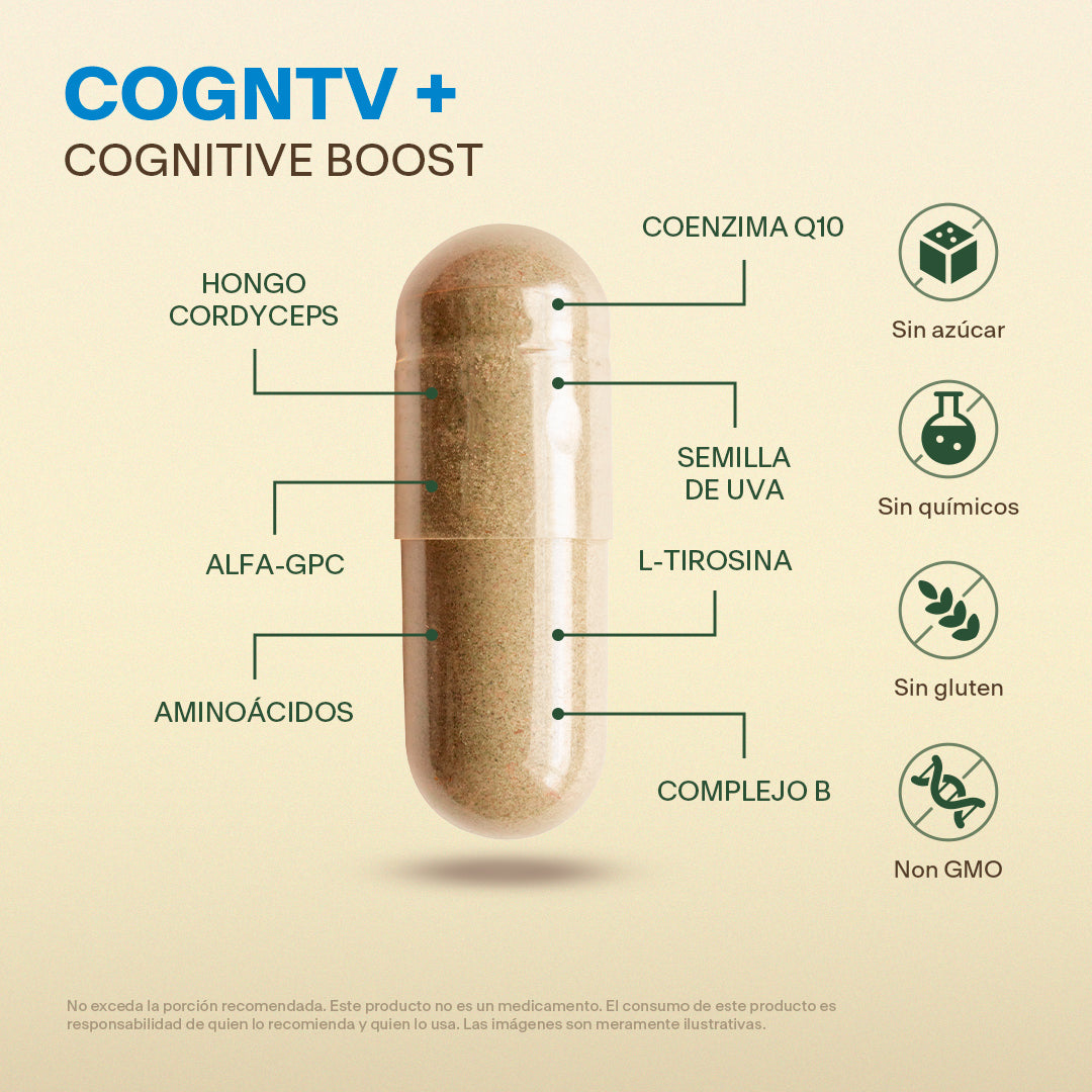 Comparativa Alpha-GPC CoQ10 L-Teanina Vitaminas B Vitalbotanics vs otras marcas