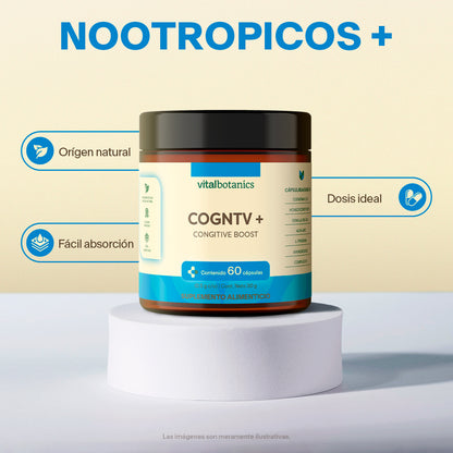 Ingredientes nootrópicos Vitalbotanics – Alpha-GPC, CoQ10, L-Teanina y Complejo B
