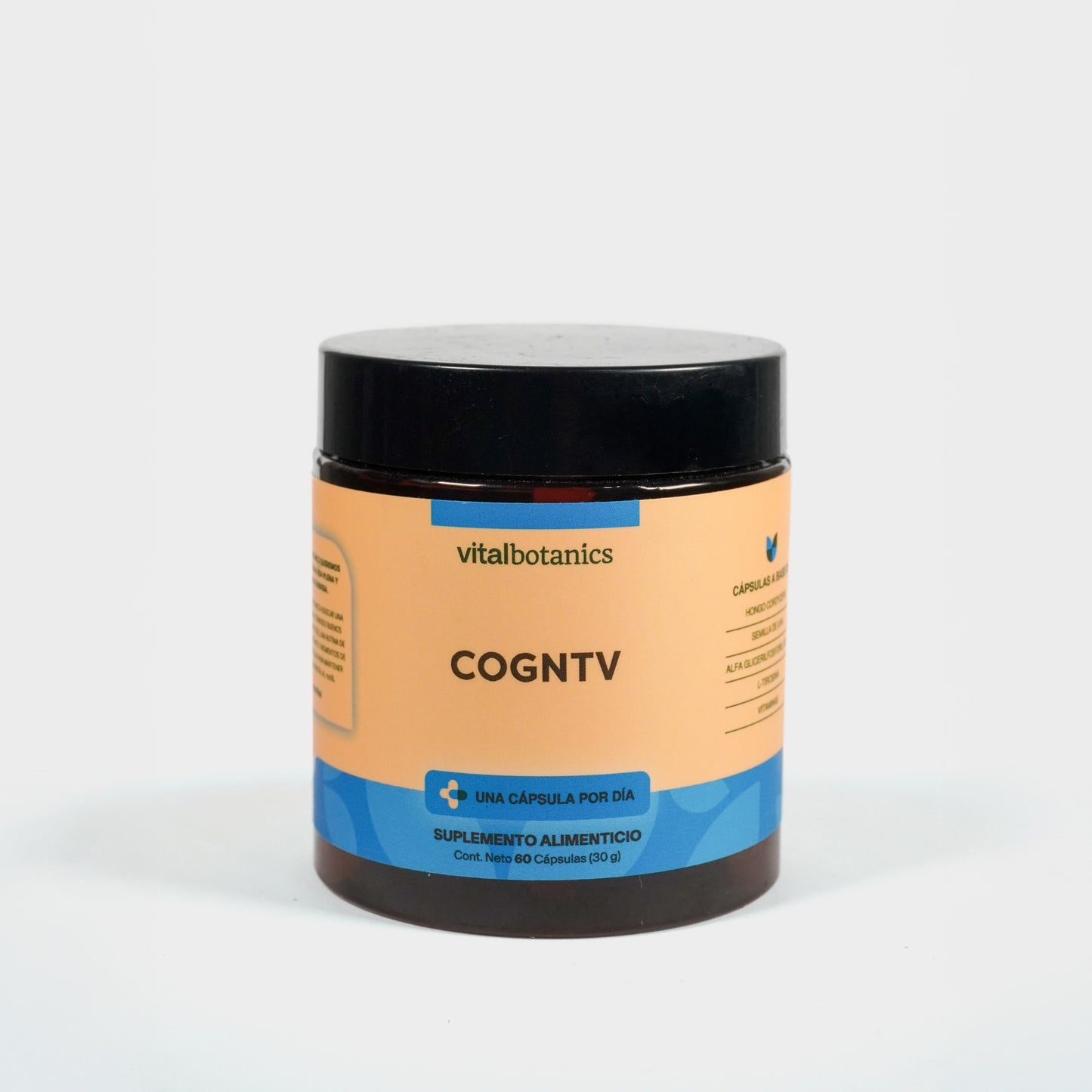 Nootropicos En Cápsulas