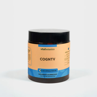 Nootropicos En Cápsulas
