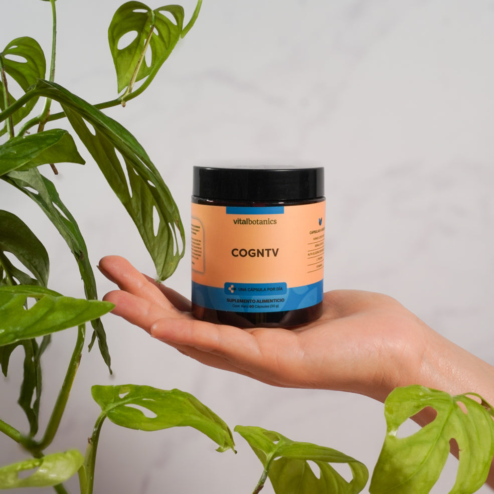 Nootropicos En Cápsulas