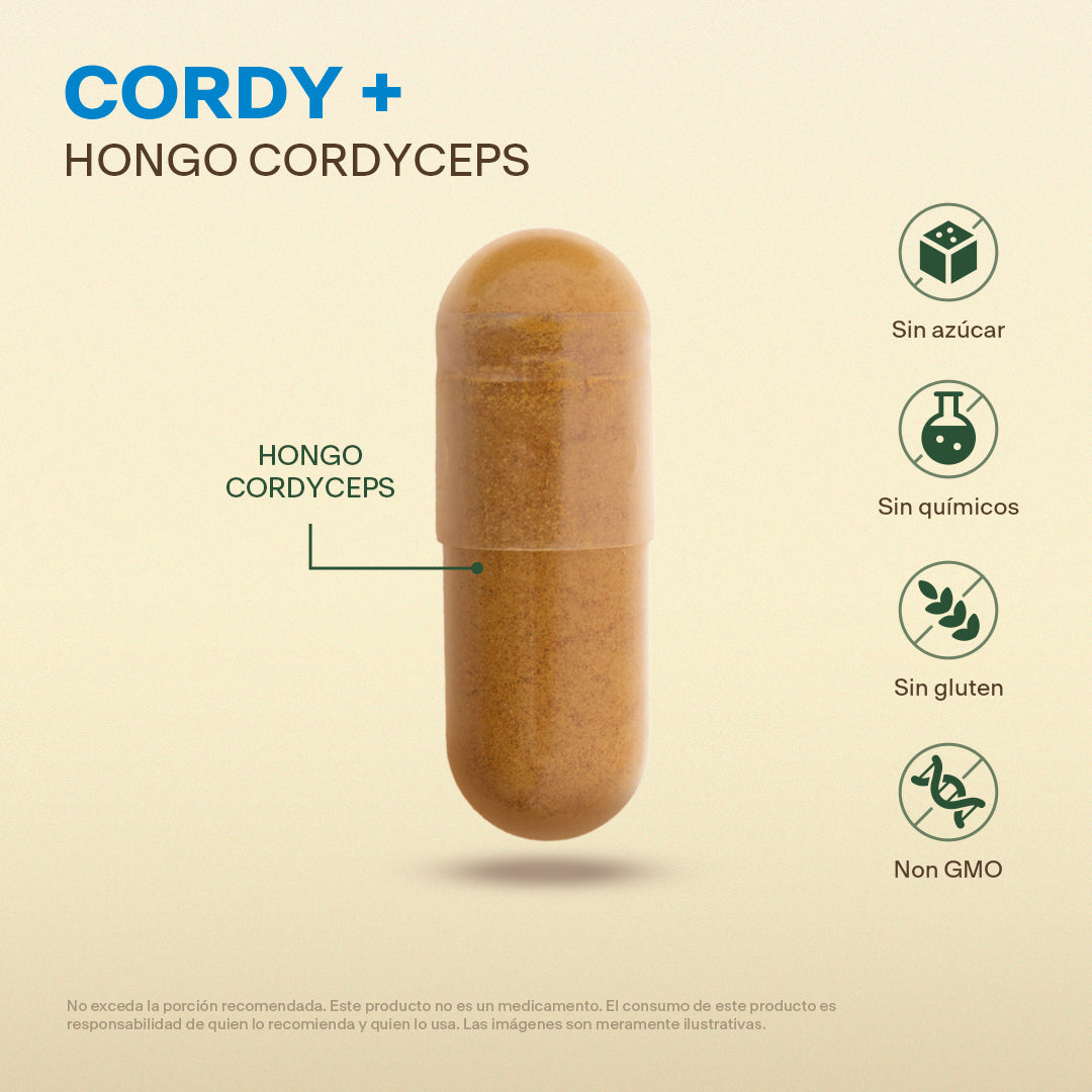 Hongo Cordyceps en Cápsulas