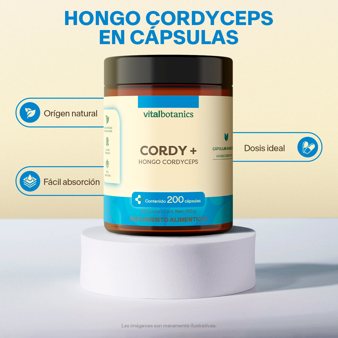 Hongo Cordyceps en Cápsulas