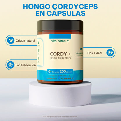 Hongo Cordyceps en Cápsulas