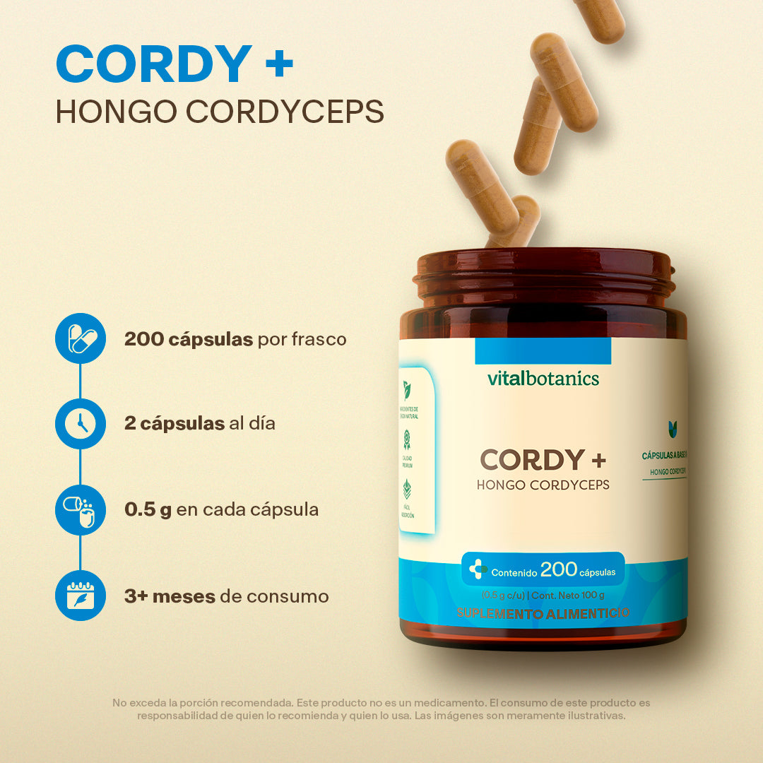 Hongo Cordyceps en Cápsulas