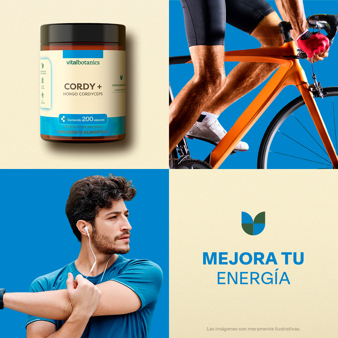 Hongo Cordyceps en Cápsulas
