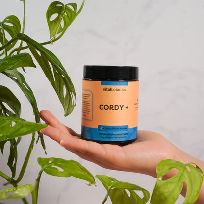 Hongo Cordyceps en Cápsulas