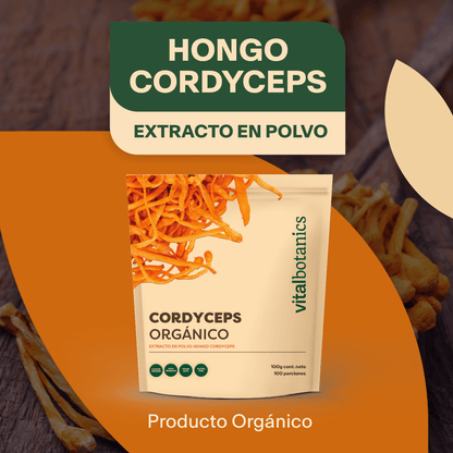 EXTRACTO PURO DE HONGO CORDYCEPS | Adaptogeno en polvo Organico