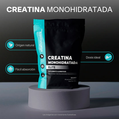 Creatina Monohidratada Elite en Polvo