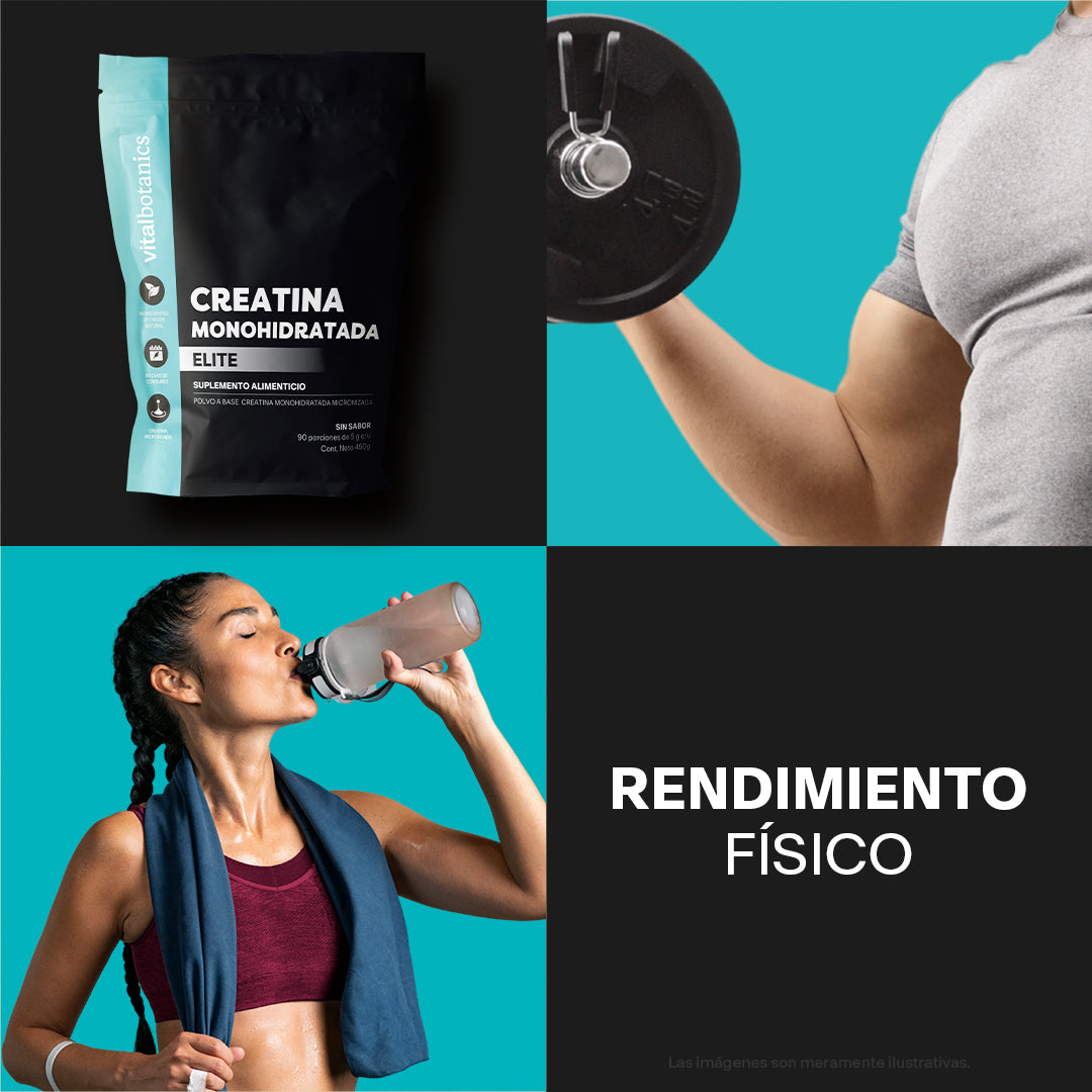 Creatina Monohidratada Elite en Polvo