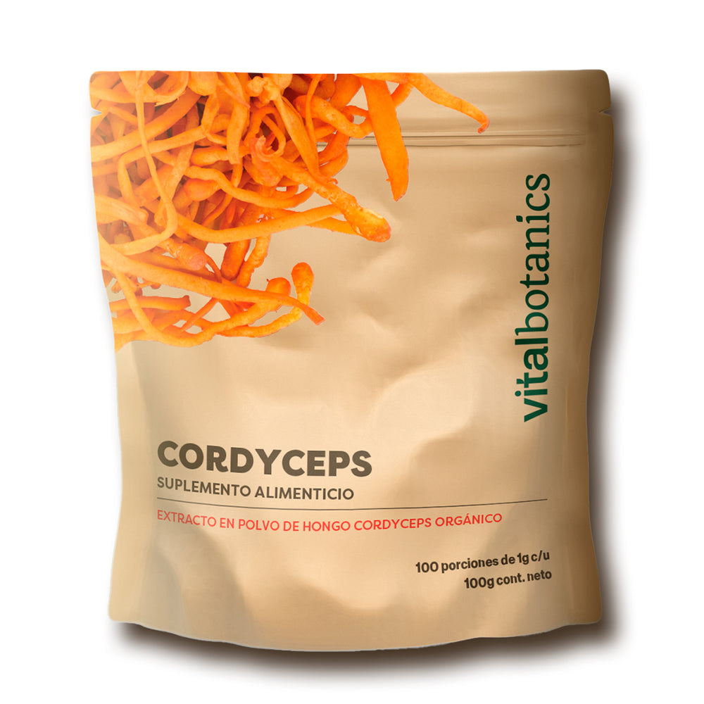 Hongo Cordyceps en Polvo