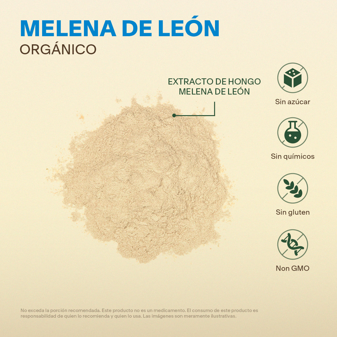 Hongo Melena de León en Polvo