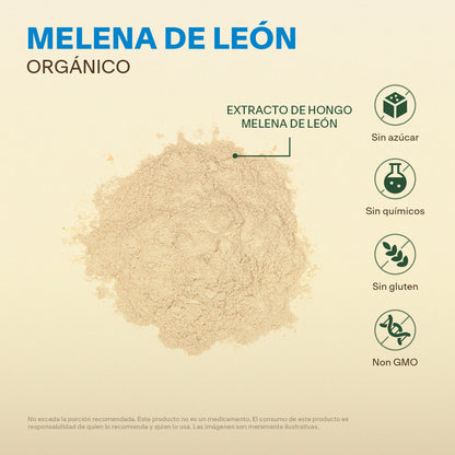 Hongo Melena de León en Polvo