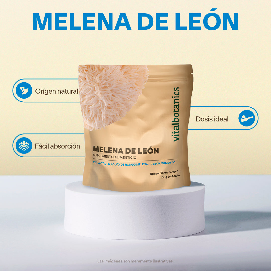 Hongo Melena de León en Polvo