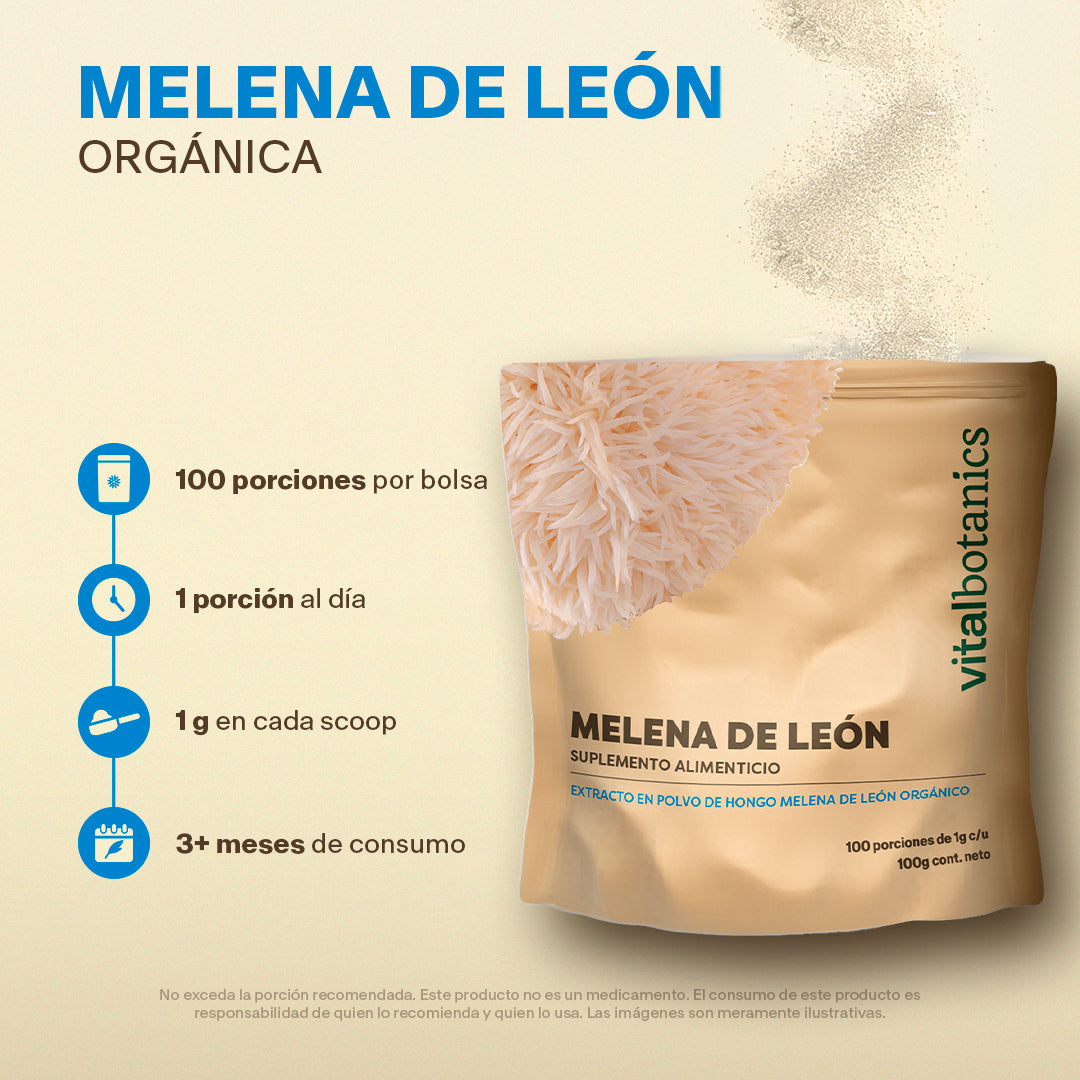 Hongo Melena de León en Polvo