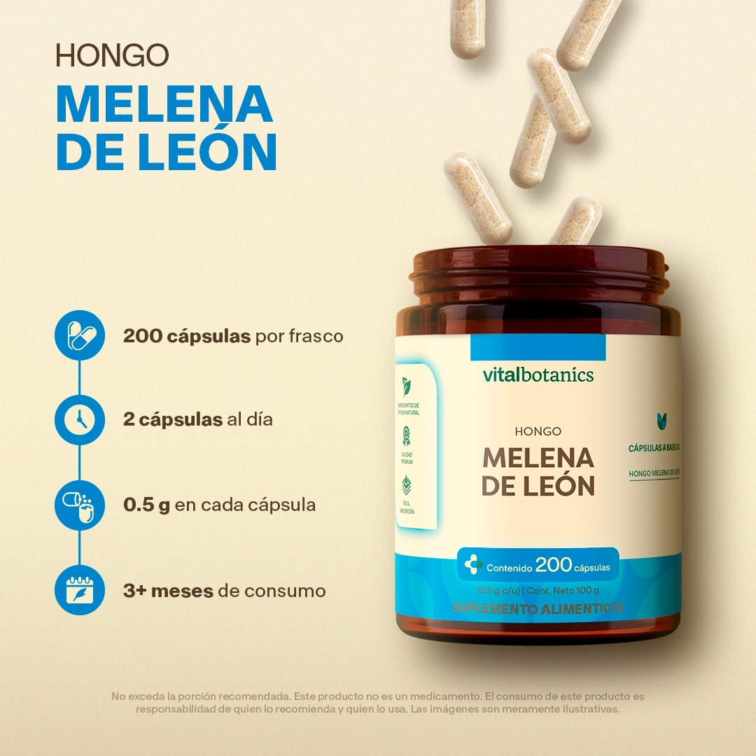 Hongo Melena De Leon en Cápsulas