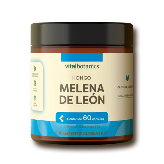 Hongo Melena De Leon en Cápsulas