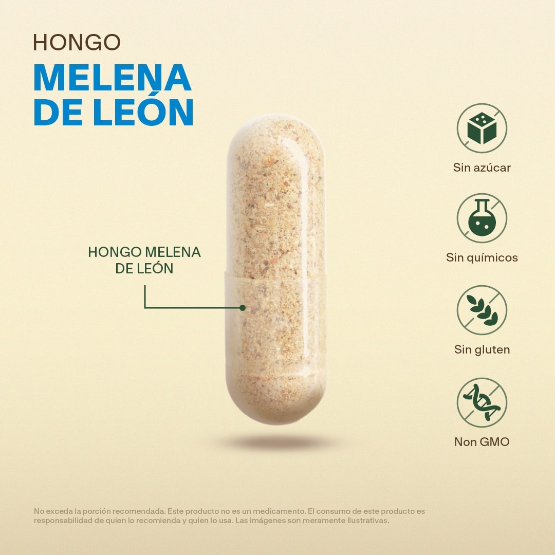 Hongo Melena De Leon en Cápsulas