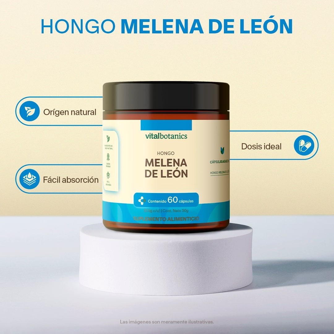 Hongo Melena De Leon en Cápsulas