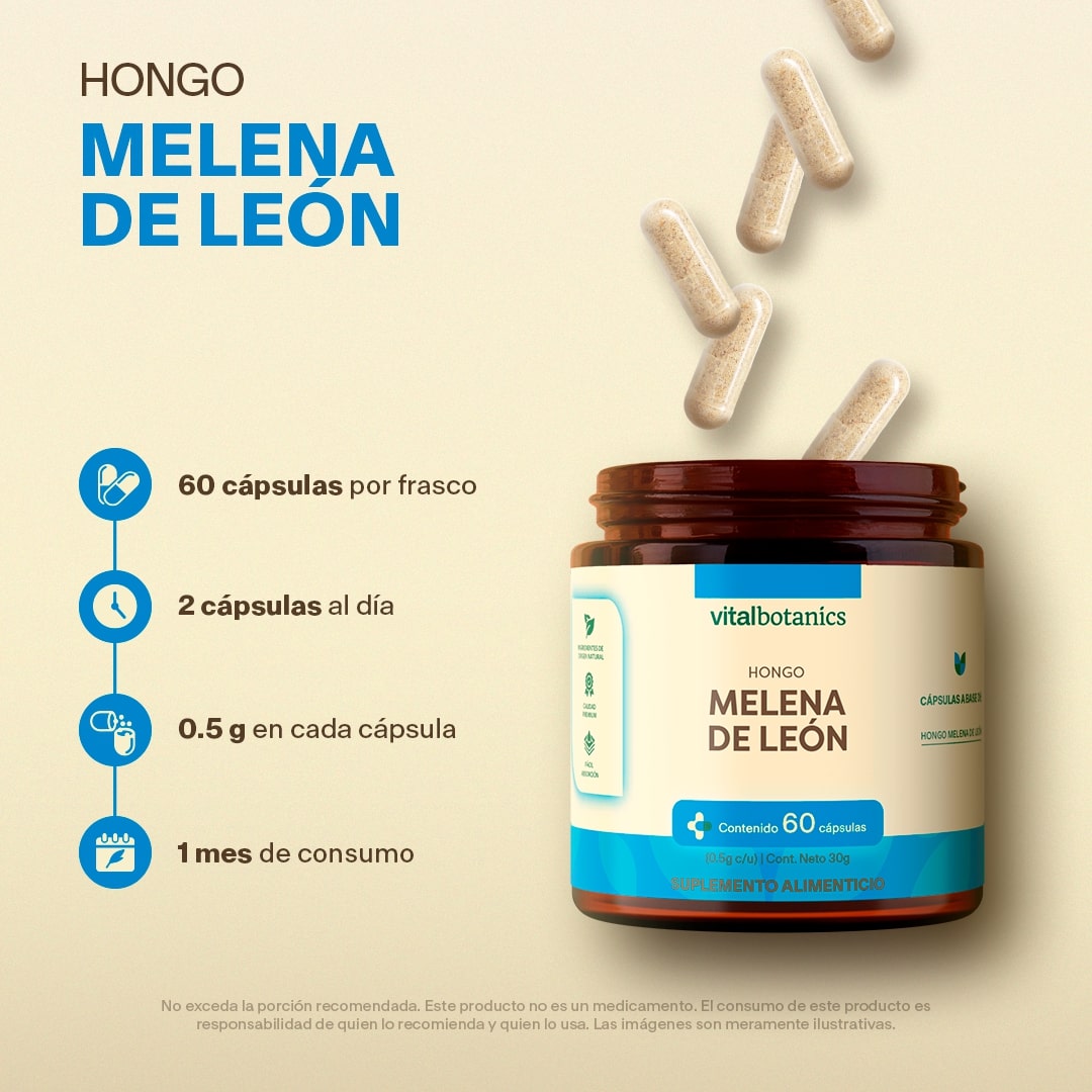 Hongo Melena De Leon en Cápsulas
