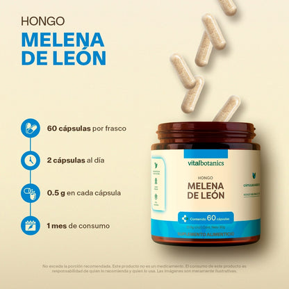 Hongo Melena De Leon en Cápsulas