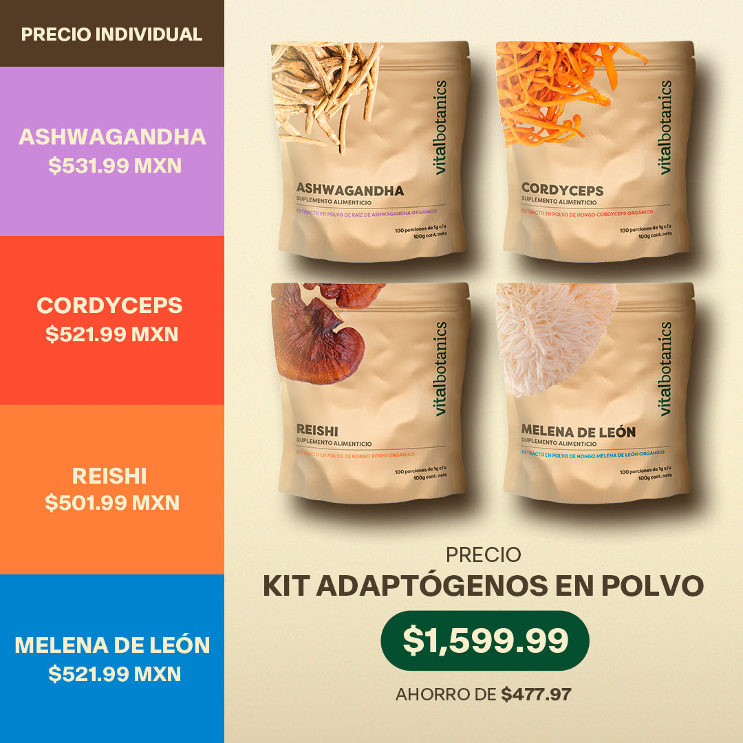 Adaptogens Kit | 4 Hongos Adaptógenos en Polvo
