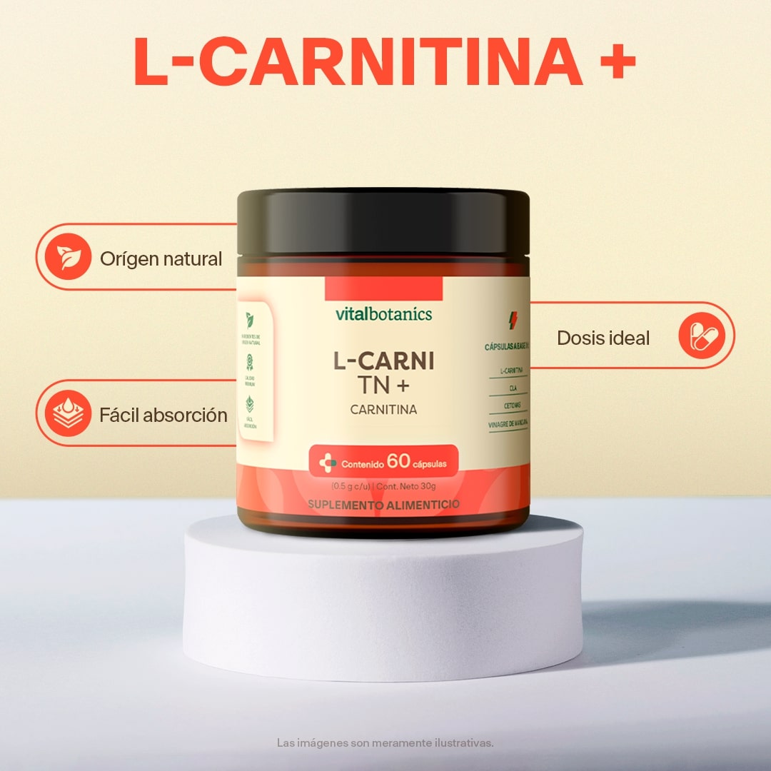 L-Carnitina en Cápsulas