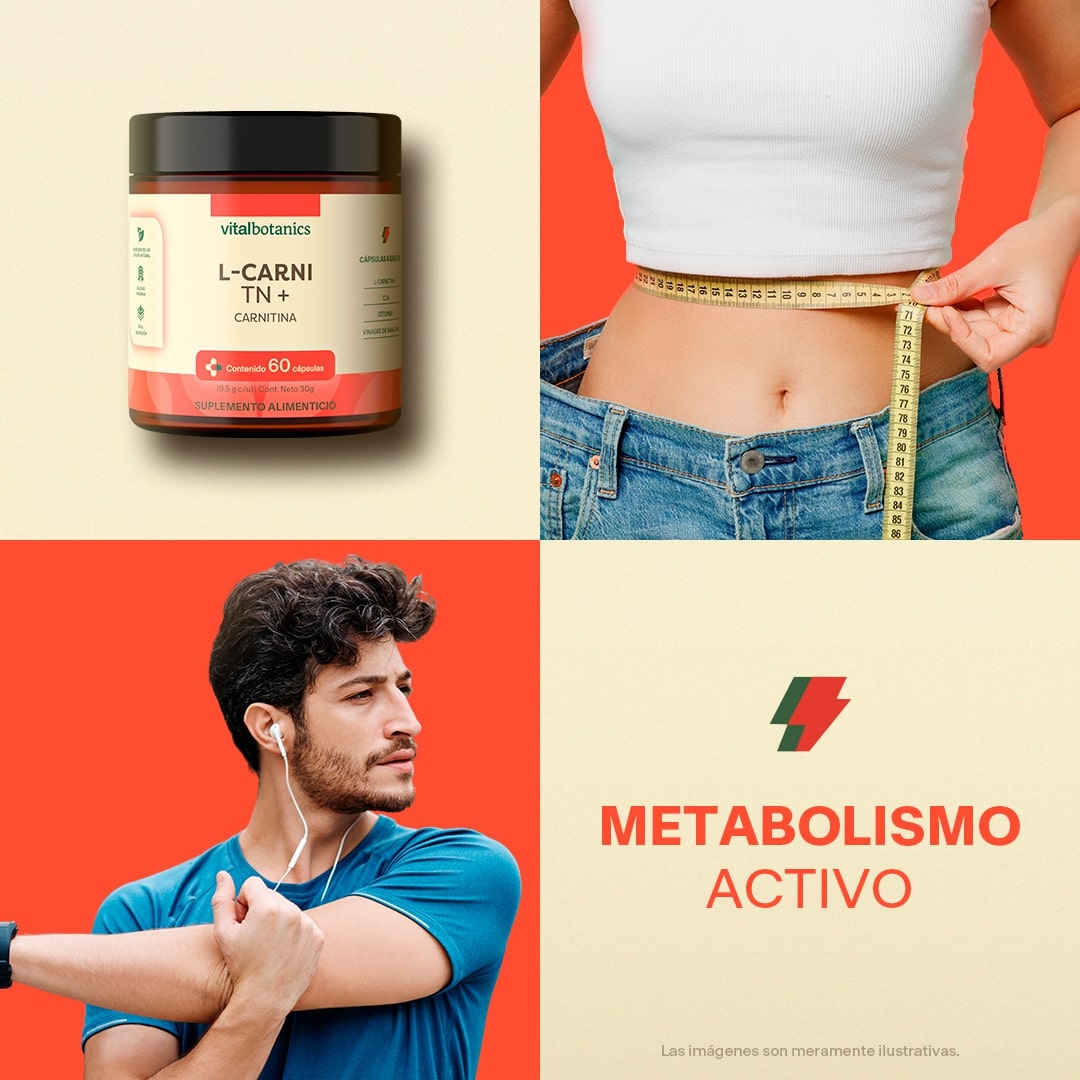 L-Carnitina en Cápsulas