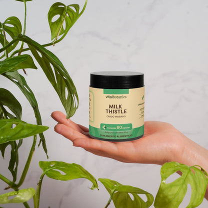 Milk Thistle, Cardo Mariano en Cápsulas