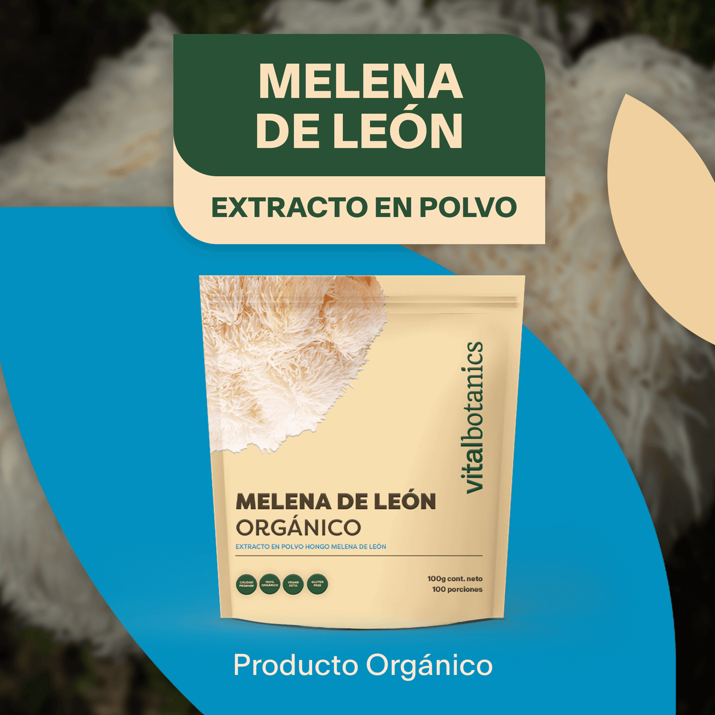 EXTRACTO PURO DE HONGO MELENA DE LEÓN | Adaptogeno en polvo Organico