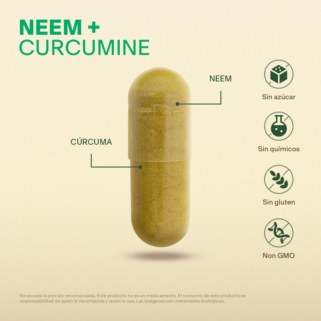 Neem, Curcumina en Cápsulas