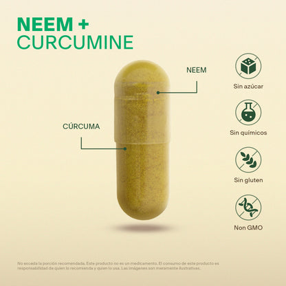 Neem, Curcumina en Cápsulas