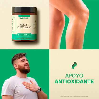 Neem, Curcumina en Cápsulas