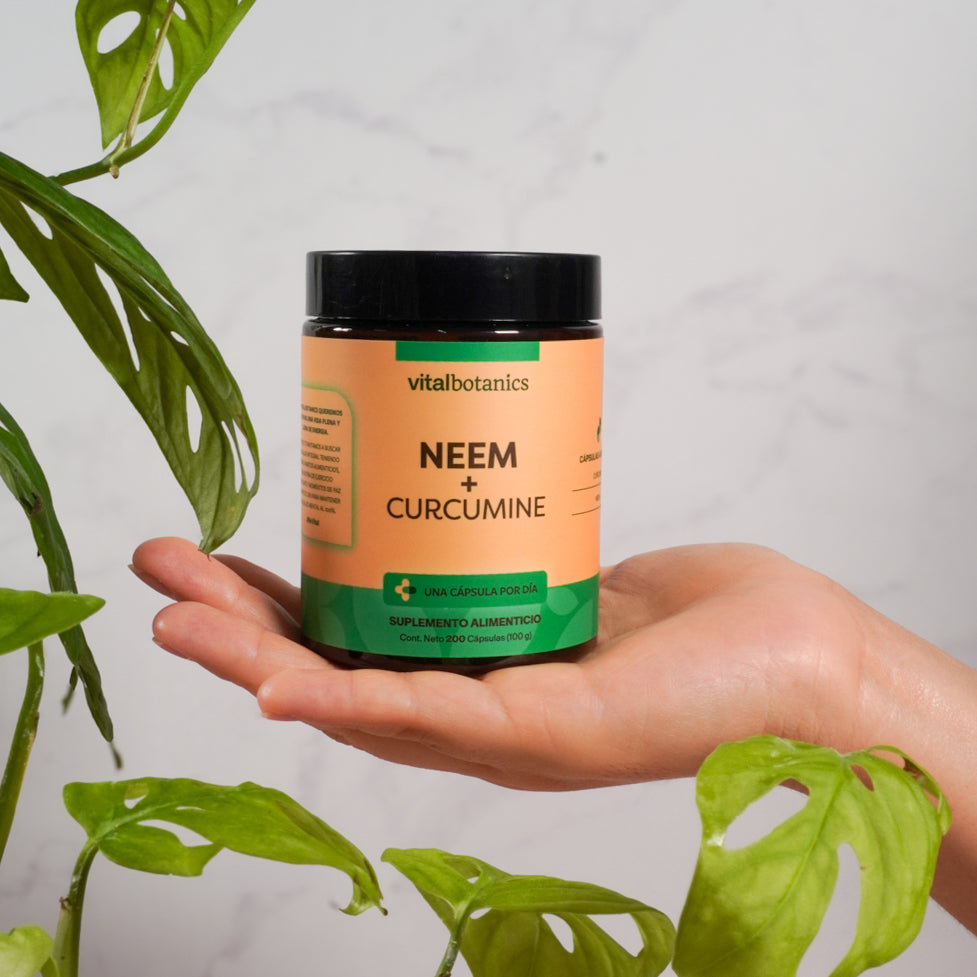 Neem, Curcumina en Cápsulas