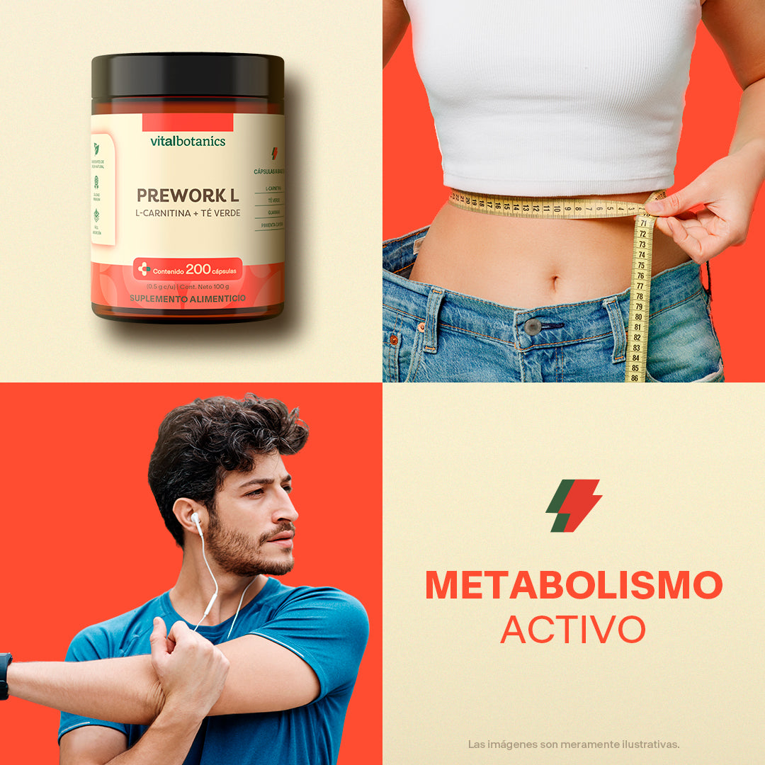 L-Carnitina | 200 Cápsulas – Quema Grasa y Energía