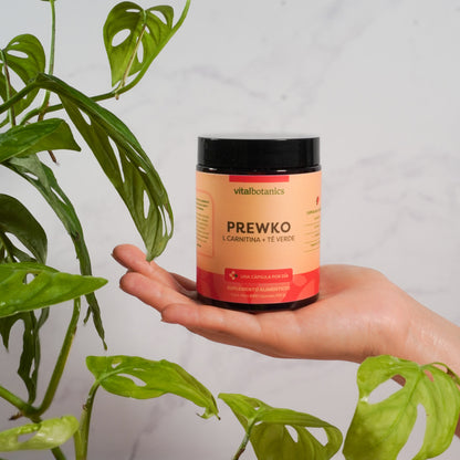 Preworkout Con Carnitina