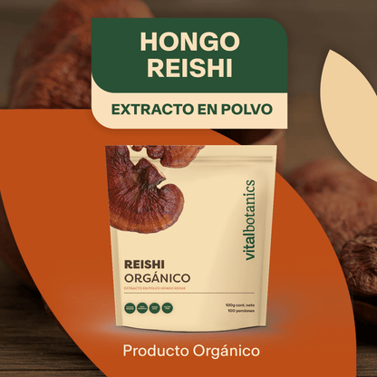 EXTRACTO PURO DE HONGO REISHI | Adaptogeno en polvo Organico