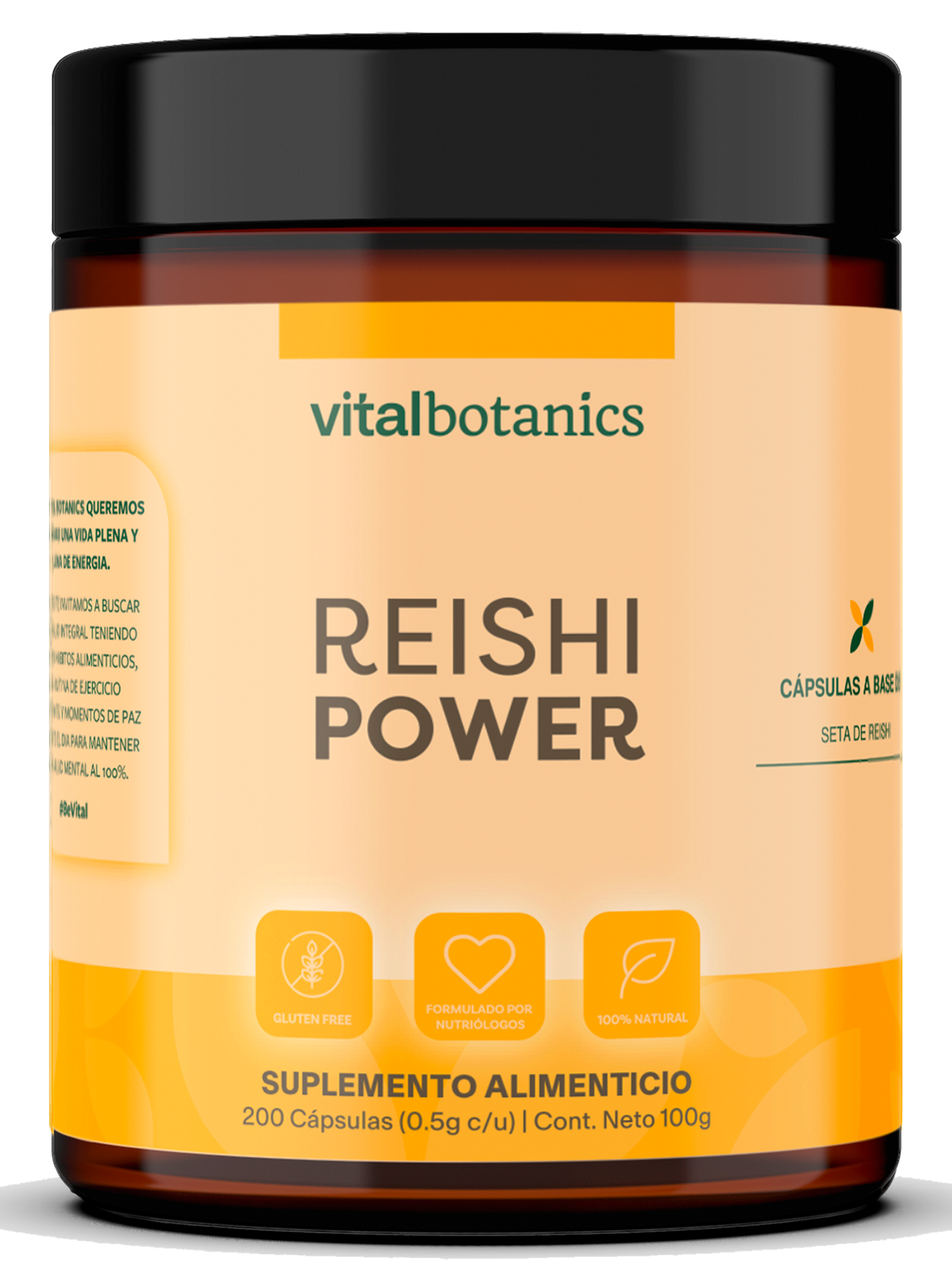 REISHI POWER | Hongo Reishi Adaptogeno