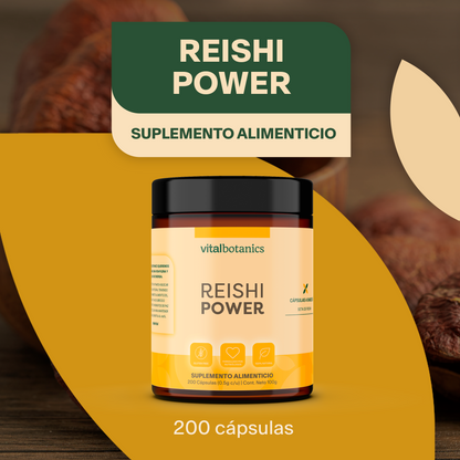 REISHI POWER | Hongo Reishi Adaptogeno