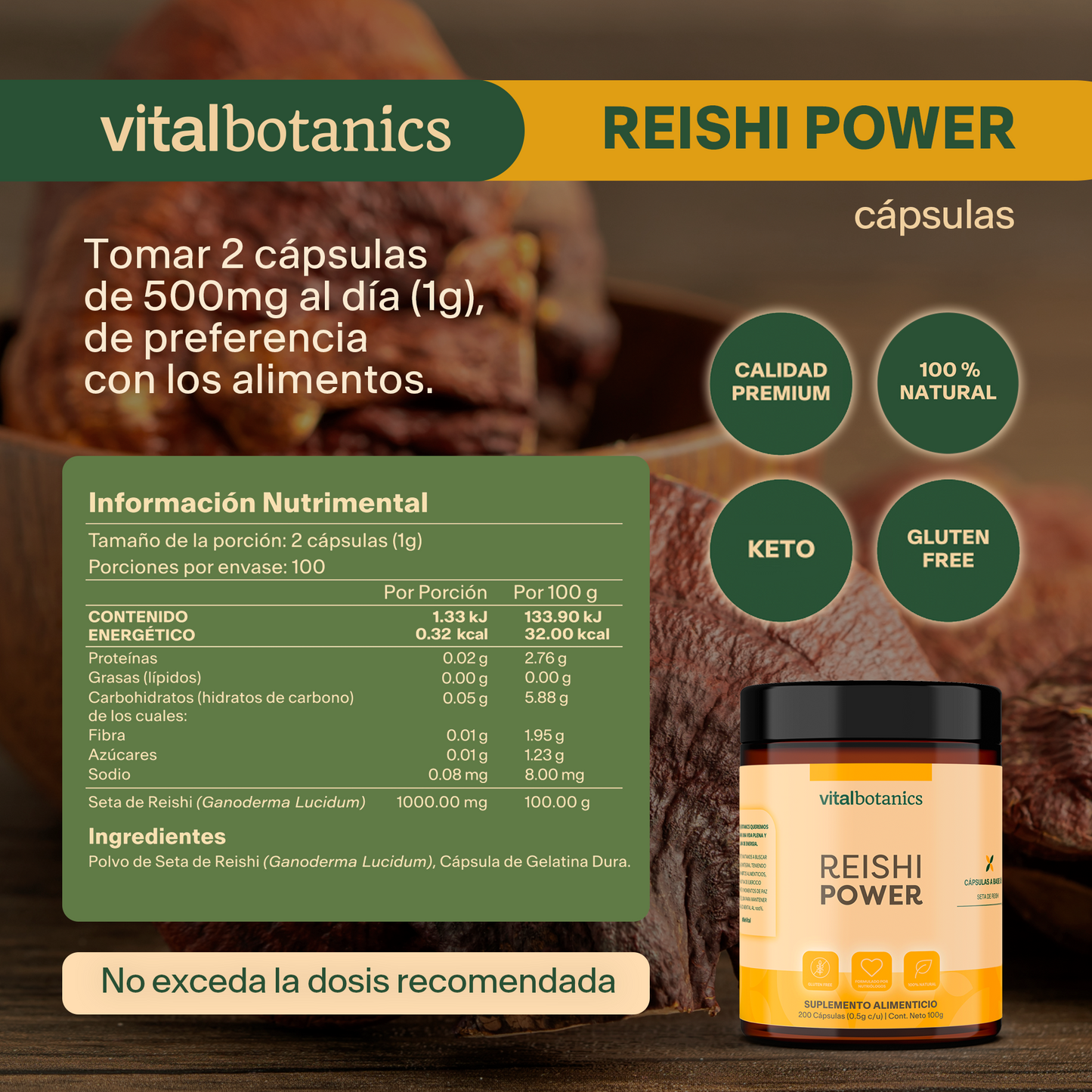 REISHI POWER | Hongo Reishi Adaptogeno