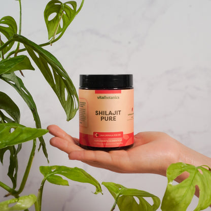 Shilajit en Cápsulas