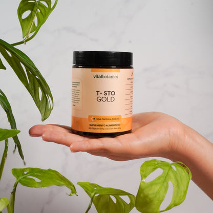 Precursor De Testosterona Gold en Cápsulas