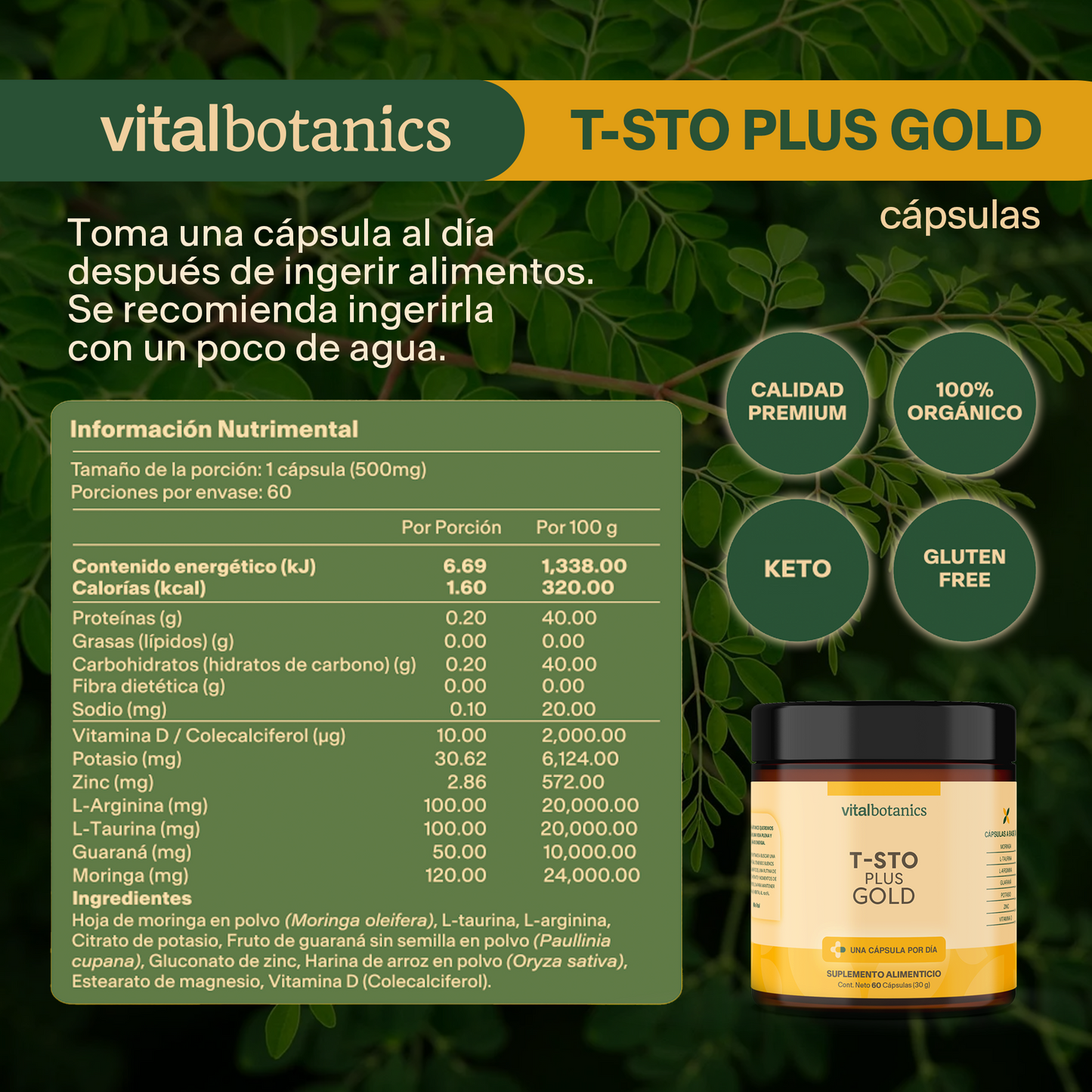 T-STO PLUS GOLD | Vitamina D + Potasio + Zinc + L-Arginina + L-Taurina + Guaraná + Moringa