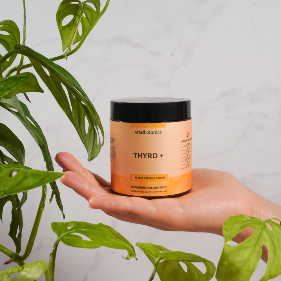 Soporte Para La Tiroides en Cápsulas